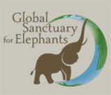 Global Elepahnts.org logo